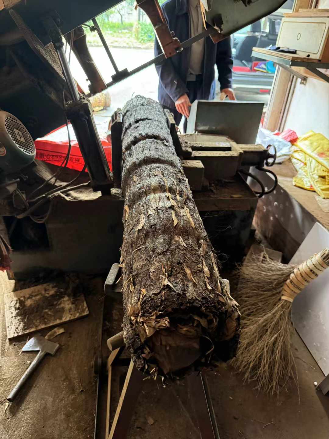 Log prior to cutting