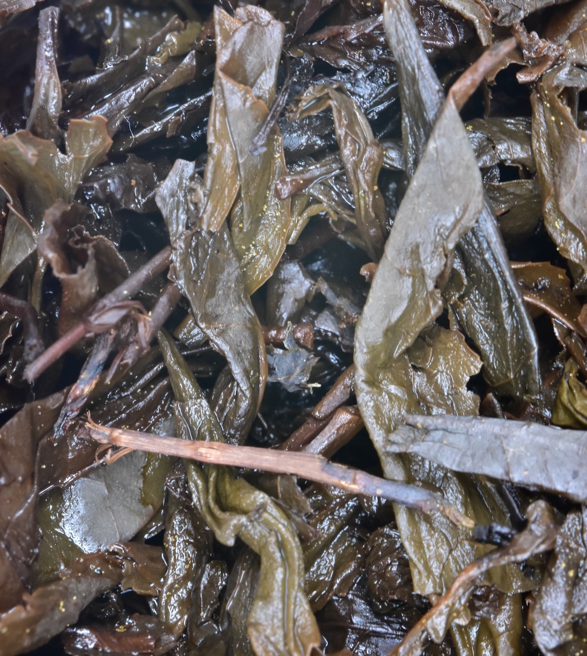 Spent leaves close-up
