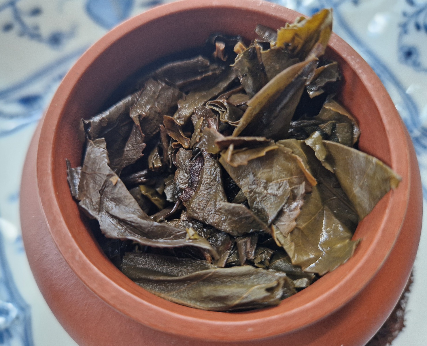Steeped leaves
